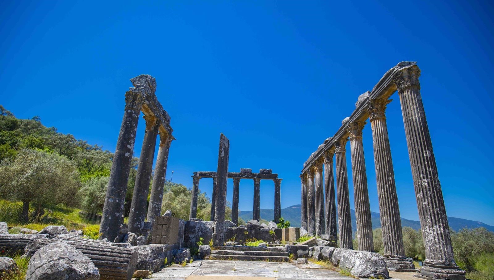 Euromos Antik Kenti | Zeus Lepsynos Tapınağı’nın İzinde Kadim Karia Kenti